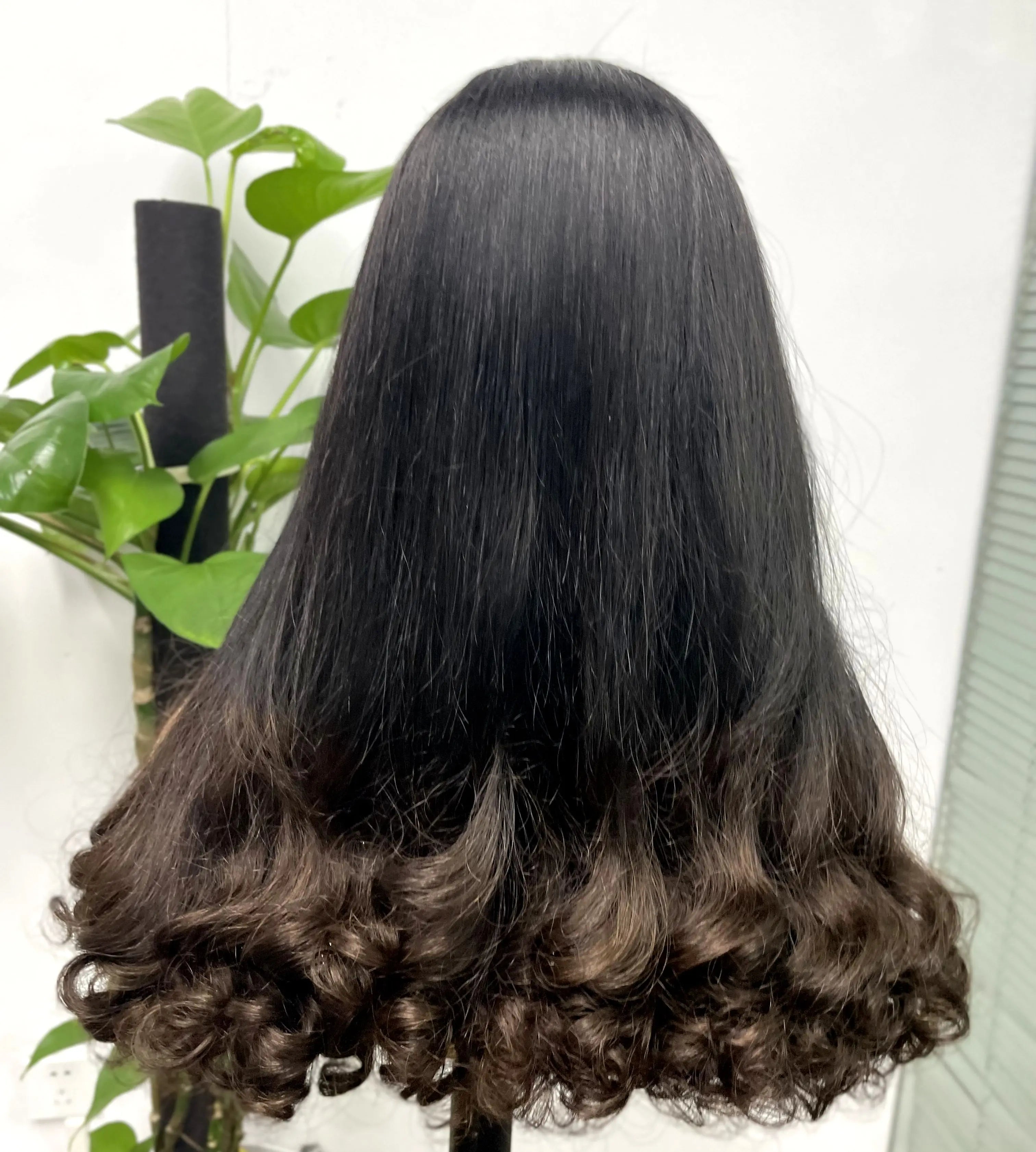 2x6 HD Lace Vietnamese Human Hair Wigs with Curly Ends Double Drawn Wavy Curly Raw Virgin Hair Wigs PrePlucked for Women