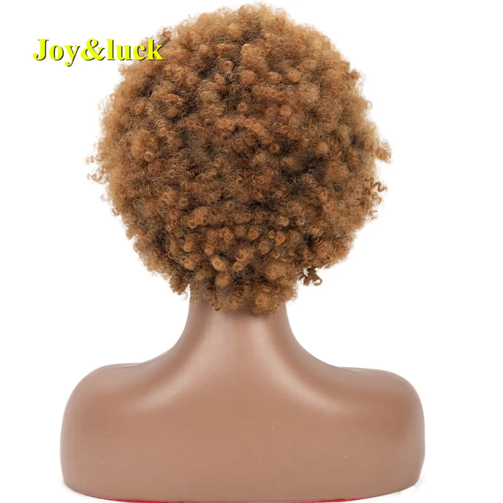 Synthetic Headband Wig Afro Kinky Curly Brown Wigs For Women Black Turban Link Natural Short Curly Hair