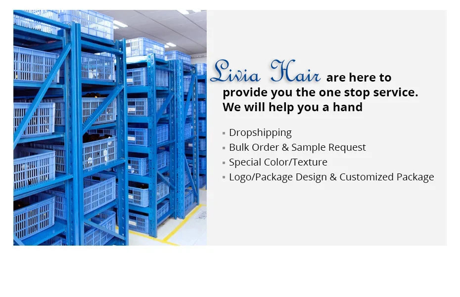 13x4 Short Bob Wigs Virgin Human Hair Jerry Curly Short Bob Wigs 250% Density Loose Deep Wave 4x4 Lace Frontal Wigs For Women