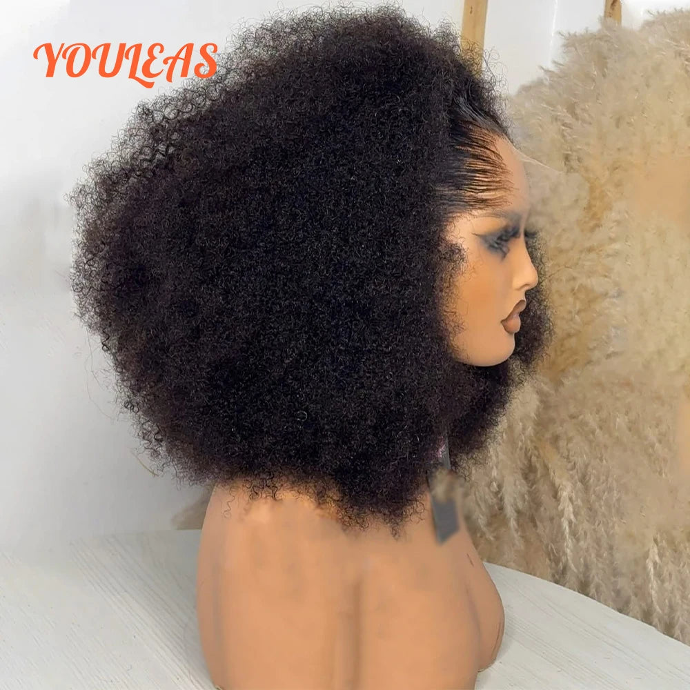 Lagos Hairline Afro Kinky Curly Wigs Human Hair Wigs Short Bob Wigs 13x4 Lace Frontal Human Hair Wigs For Woman