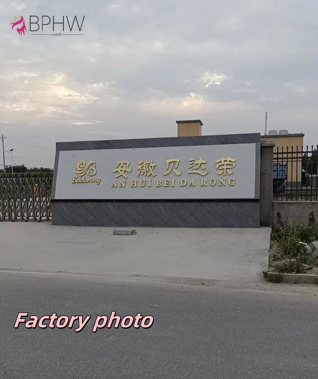 Water Wave Frontal Wig Human Hair Curly Human Hair Wig Transparent Lace Wig 13x4 Water Wave Wigs 200 Density Natural Color Wigs