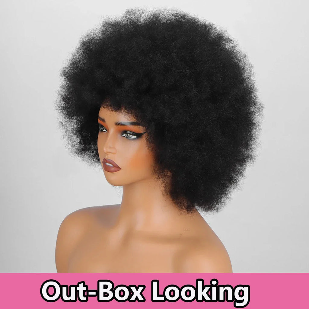 100% Human Hair Boom Hair Afro Kinky Curly Wigs Natural Afro Curly Wigs for Women 180% Density Brazilian Human Hair Wigs