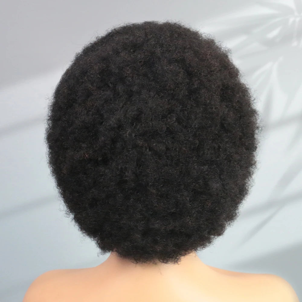 13X4 Afro Kinky Curly Wave Lace Front Wig 200 Density Brazilian Remy Human Hair Lace Natural Hairline Short Bob Human Hair Wig
